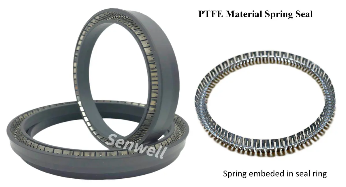 PTFE material spring seal structure
